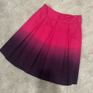 Gorgeous Ombre pleated skirt